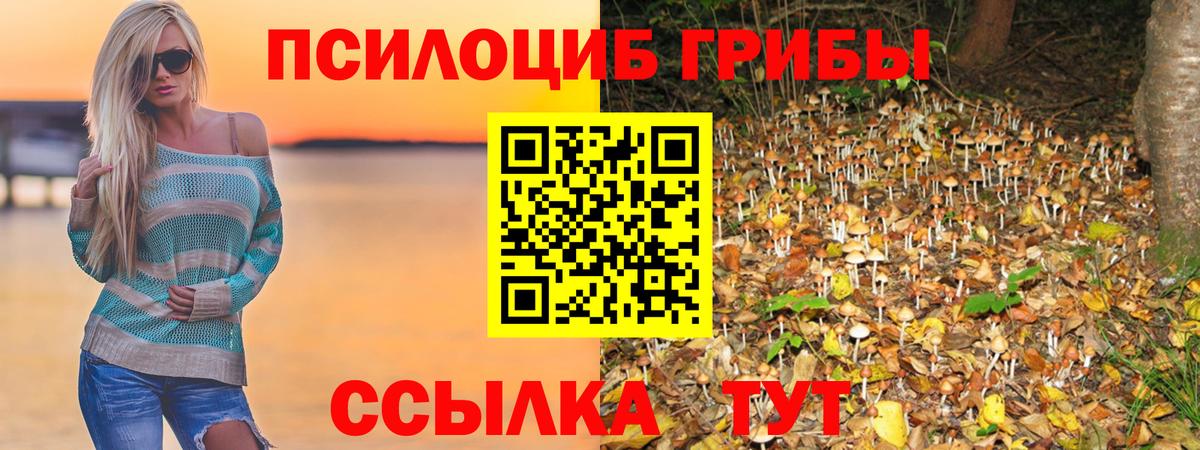 Псилоцибиновые грибы GOLDEN TEACHER Дмитров